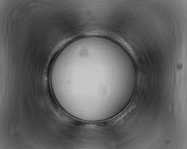 X0000100760298200806190916