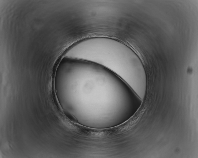 X0000100760301200806190915