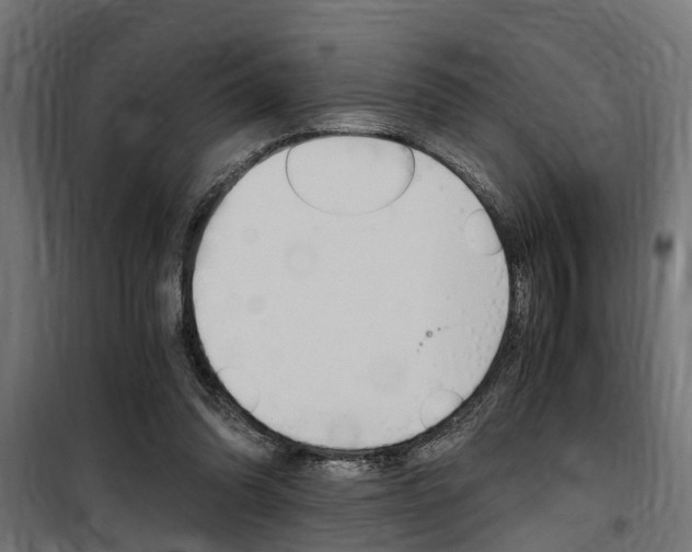 X0000100760302200806190915