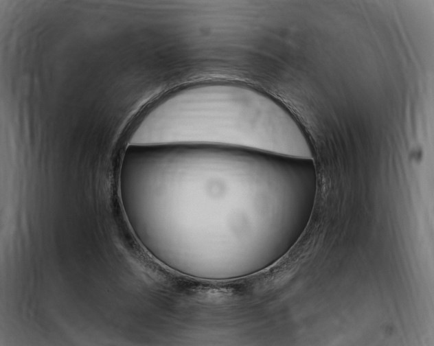 X0000100760304200806190915