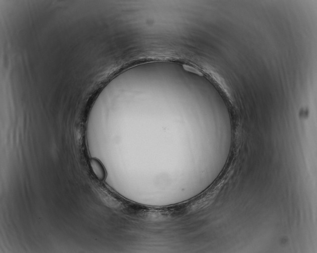 X0000100760305200806190915