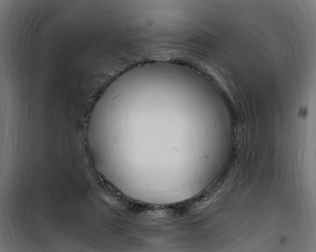 X0000100760307200806190915