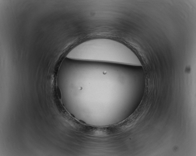 X0000100760308200806190915