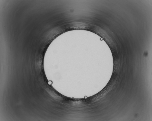 X0000100760309200806190915