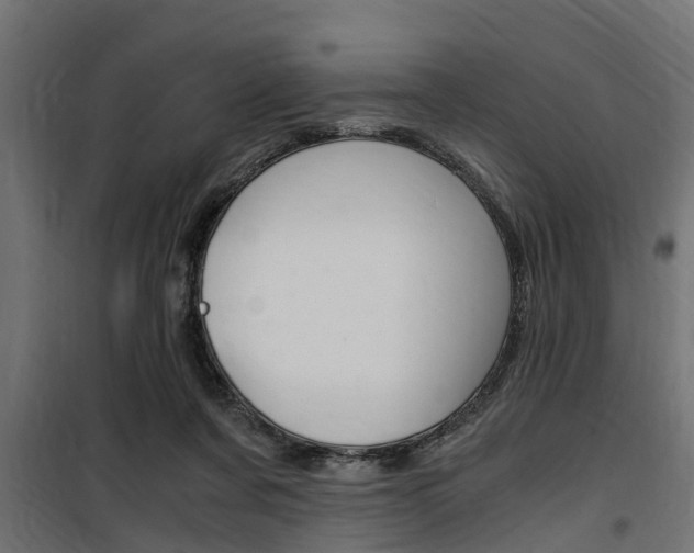 X0000100760311200806190915