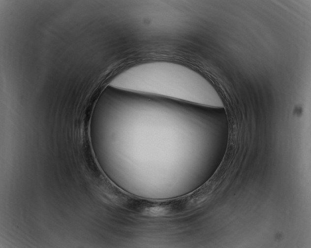 X0000100760312200806190915