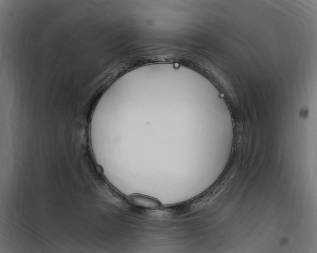 X0000100760313200806190915