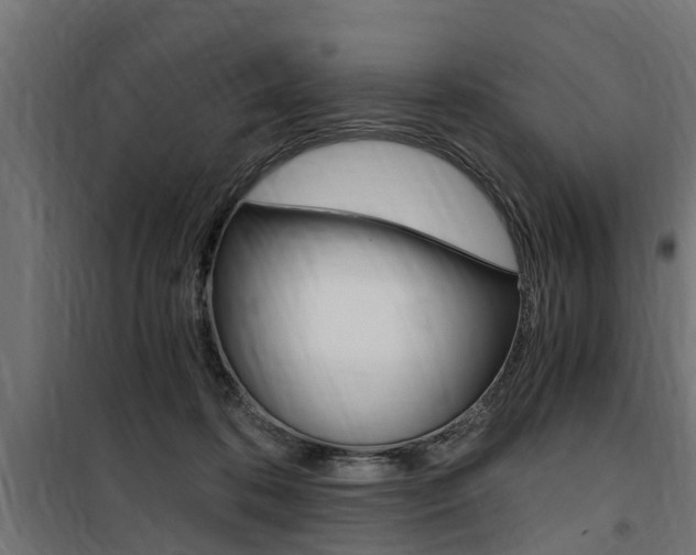 X0000100760316200806190915