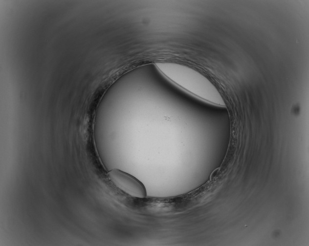 X0000100760319200806190915