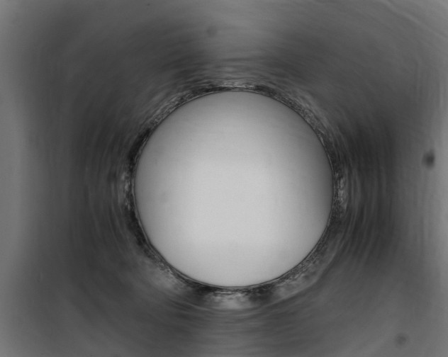 X0000100760322200806190915