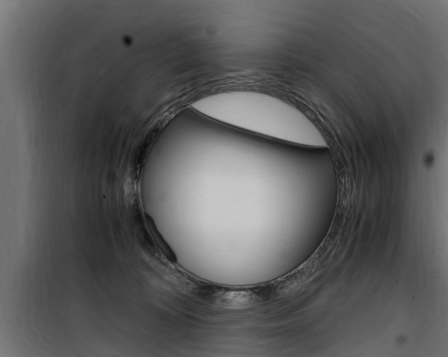 X0000100760324200806190915