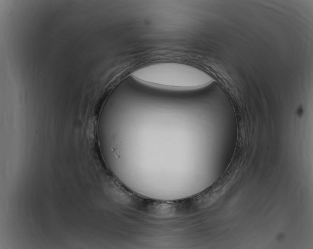 X0000100760325200806190915