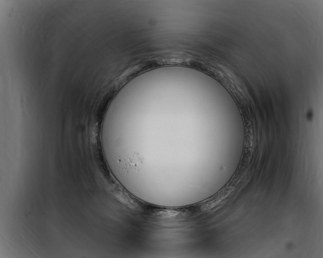 X0000100760326200806190915