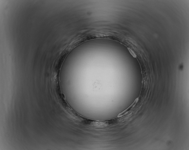 X0000100760327200806190915