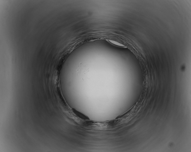 X0000100760328200806190915