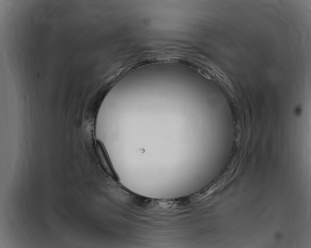 X0000100760329200806190915