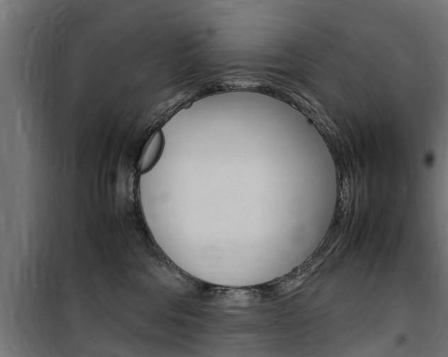 X0000100760330200806190915