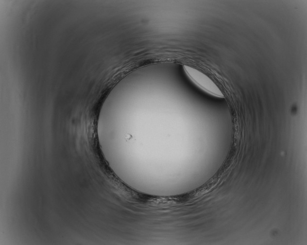 X0000100760331200806190915