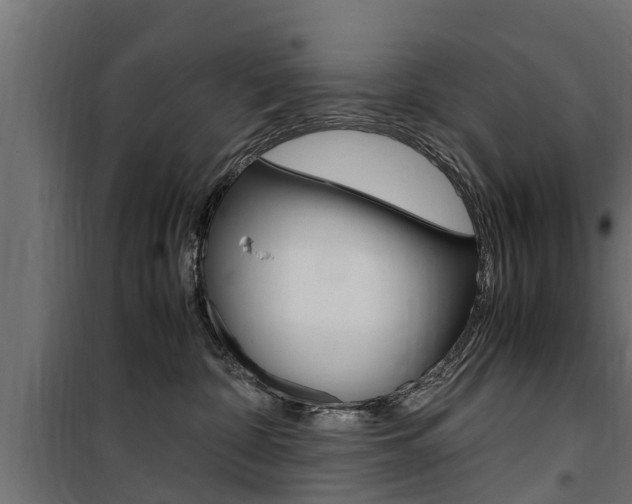 X0000100760332200806190915