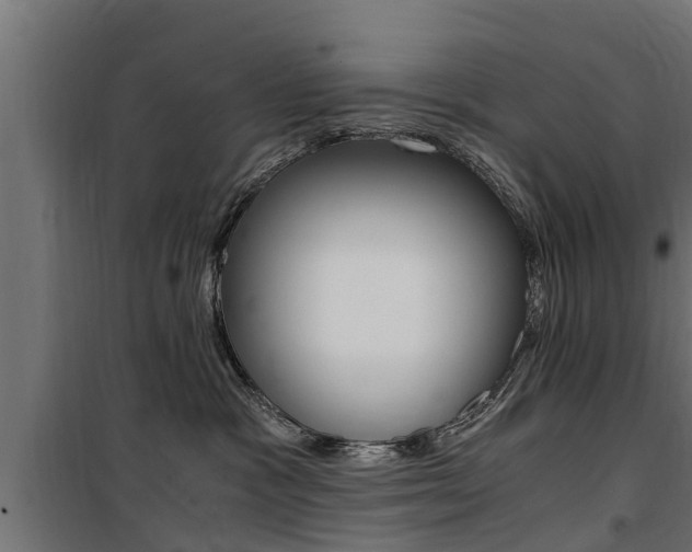 X0000100760333200806190915