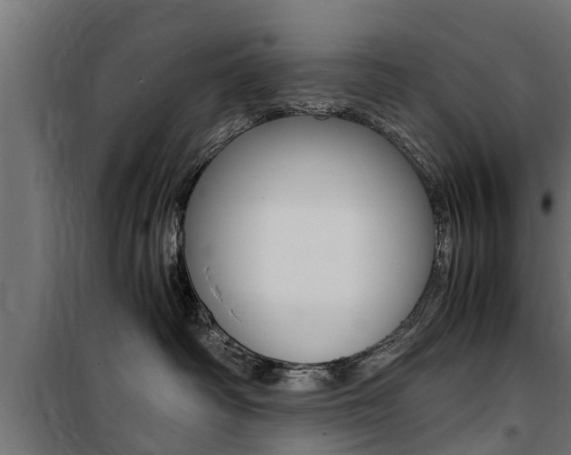 X0000100760334200806190915