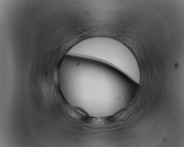 X0000100760335200806190915