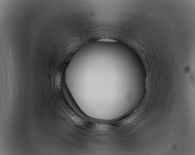 X0000100760336200806190915