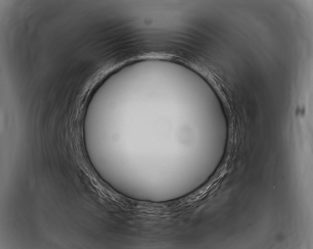 X0000100760337200806190914