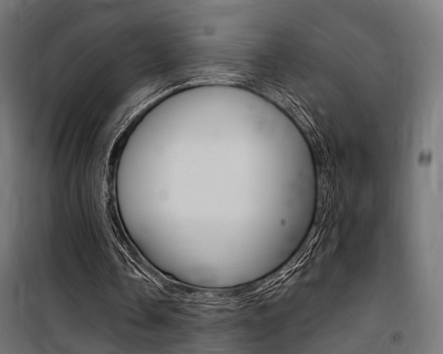 X0000100760338200806190914