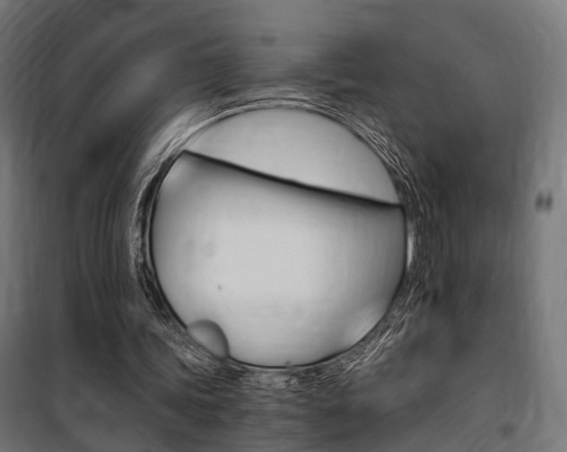 X0000100760339200806190914