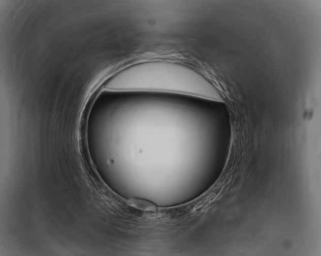 X0000100760340200806190914