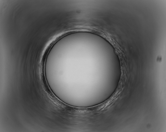 X0000100760342200806190914