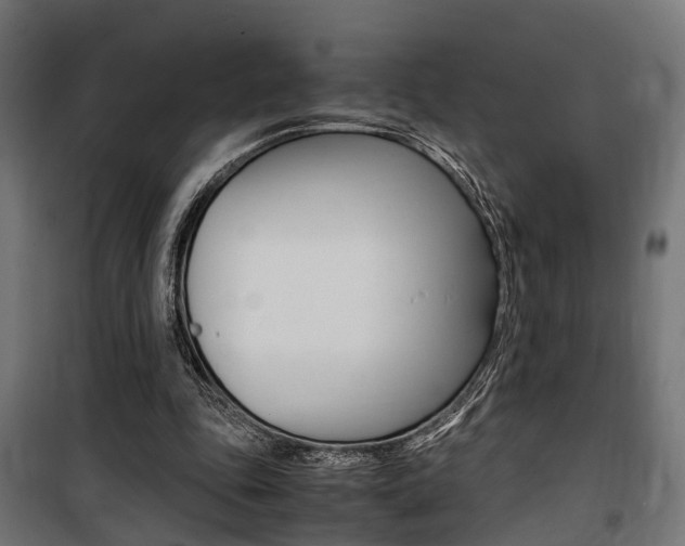 X0000100760343200806190914