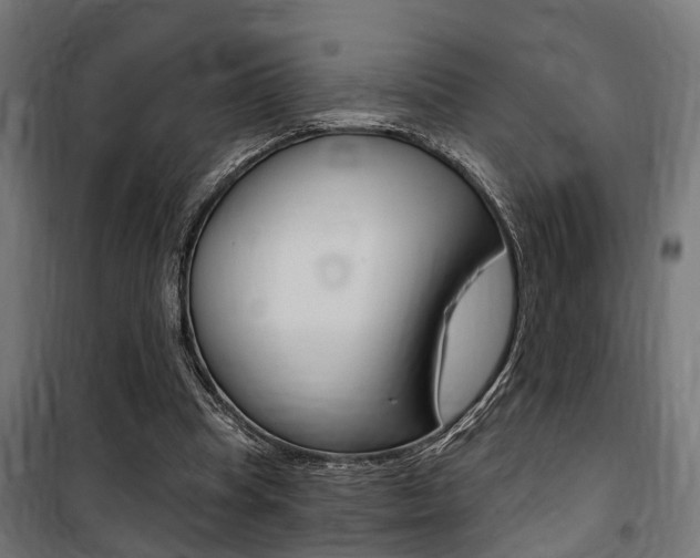 X0000100760345200806190914