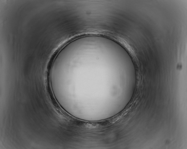 X0000100760346200806190914