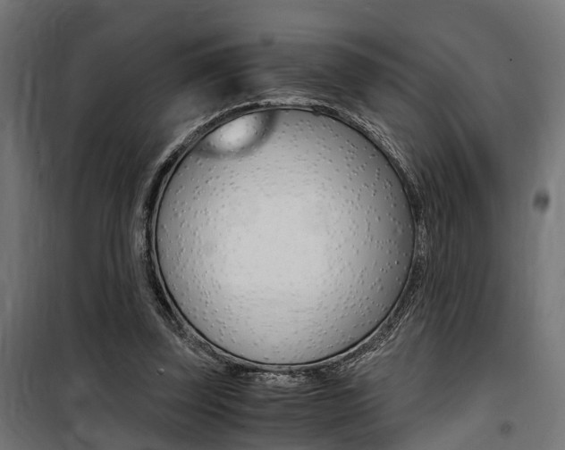 X0000100760347200806190914