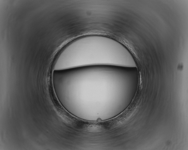 X0000100760348200806190914