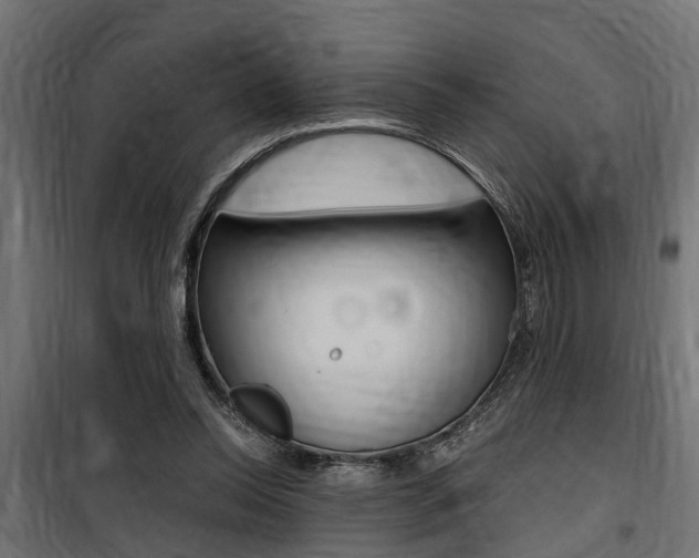 X0000100760350200806190914