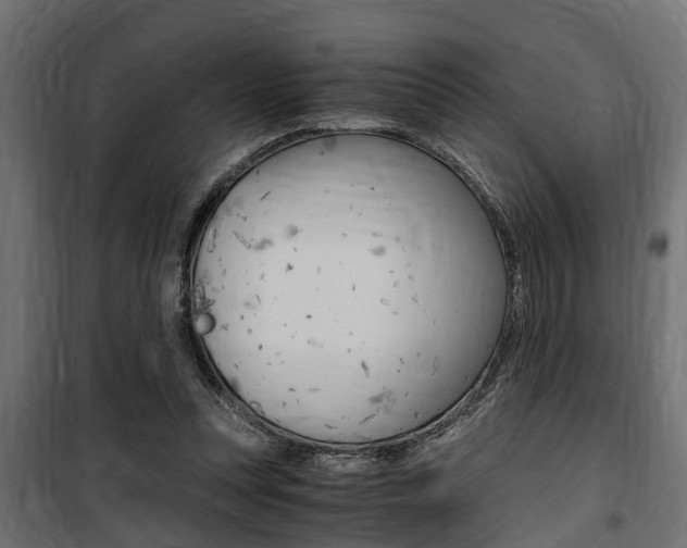 X0000100760351200806190914