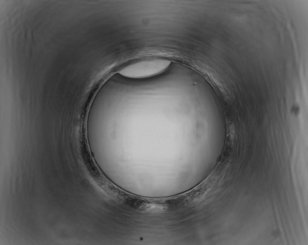 X0000100760352200806190914