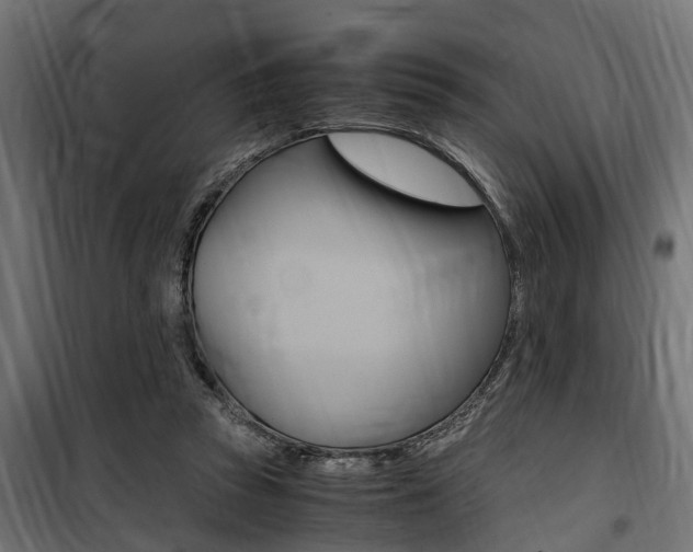 X0000100760353200806190914