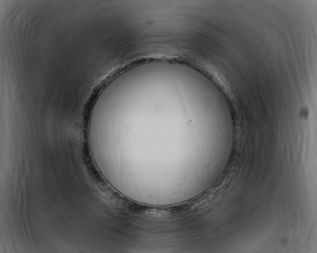 X0000100760354200806190914