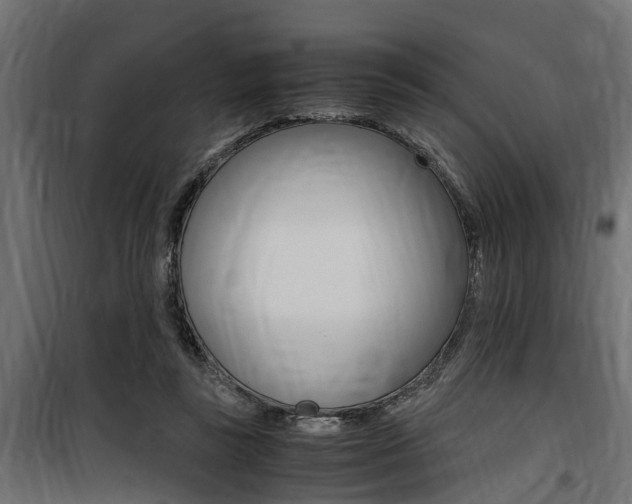 X0000100760355200806190914