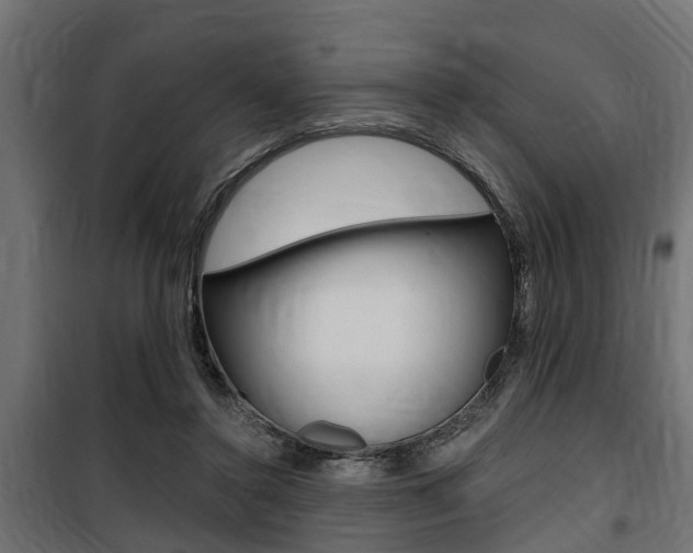 X0000100760356200806190914