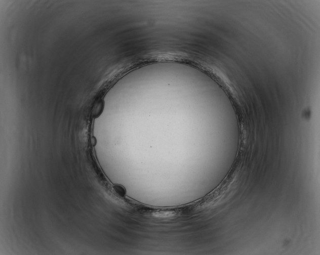 X0000100760357200806190914