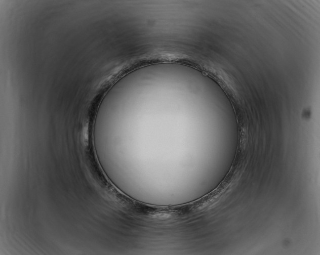 X0000100760358200806190914