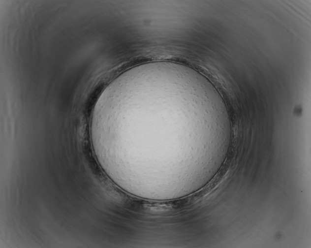 X0000100760359200806190914