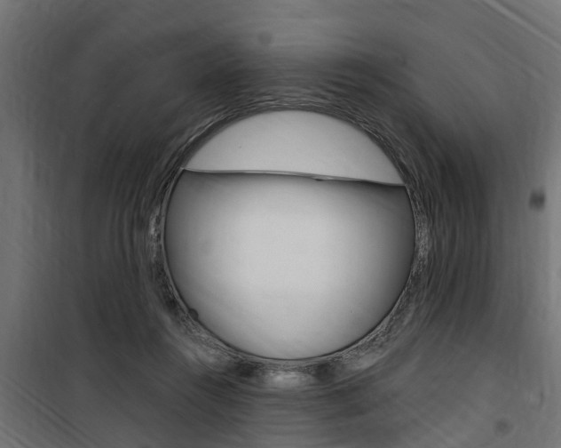 X0000100760360200806190914