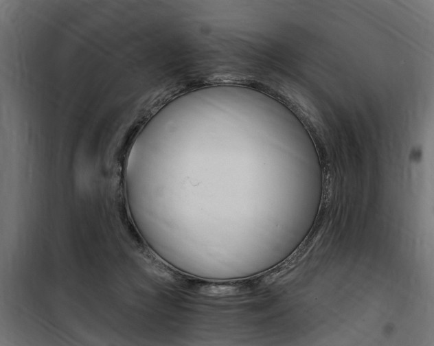 X0000100760361200806190914