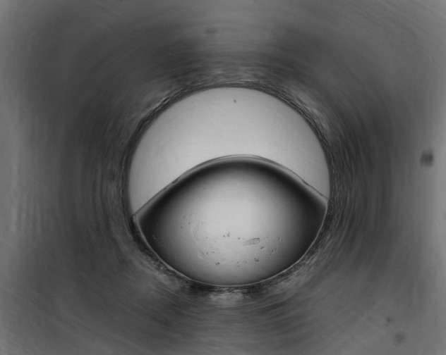 X0000100760362200806190914